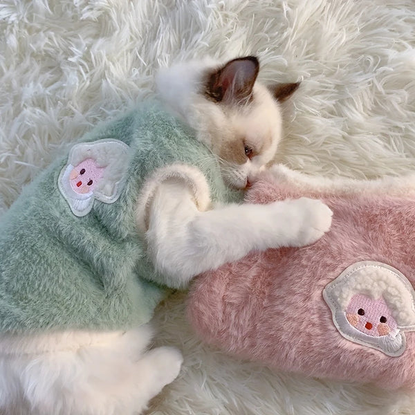 Cozy Kitten Winter Wear