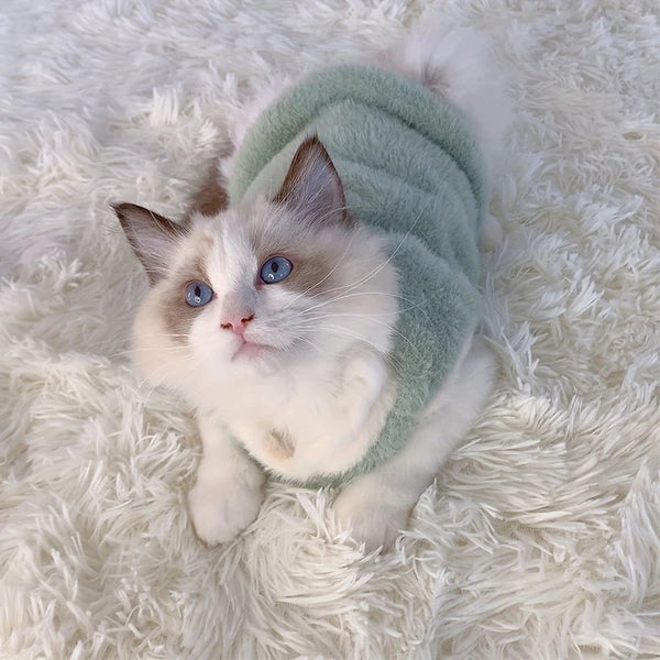 Cozy Kitten Winter Wear